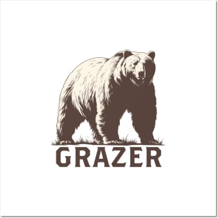 Grazer bear Posters and Art